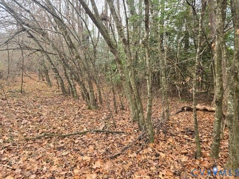 Tiny photo for 0 Tabscott Road, Kents Store, VA 23084 (MLS # 2617824)