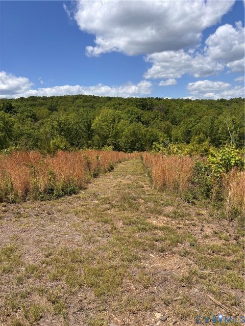 Tiny photo for 405 Horsley Lane, Nelson, VA 24553 (MLS # 2611196)
