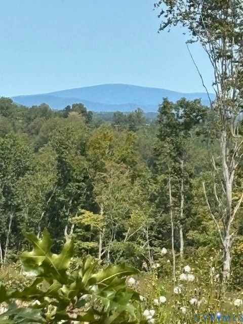 Tiny photo for 405 Horsley Lane, Nelson, VA 24553 (MLS # 2611196)