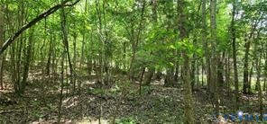 1380 Jasmine Road