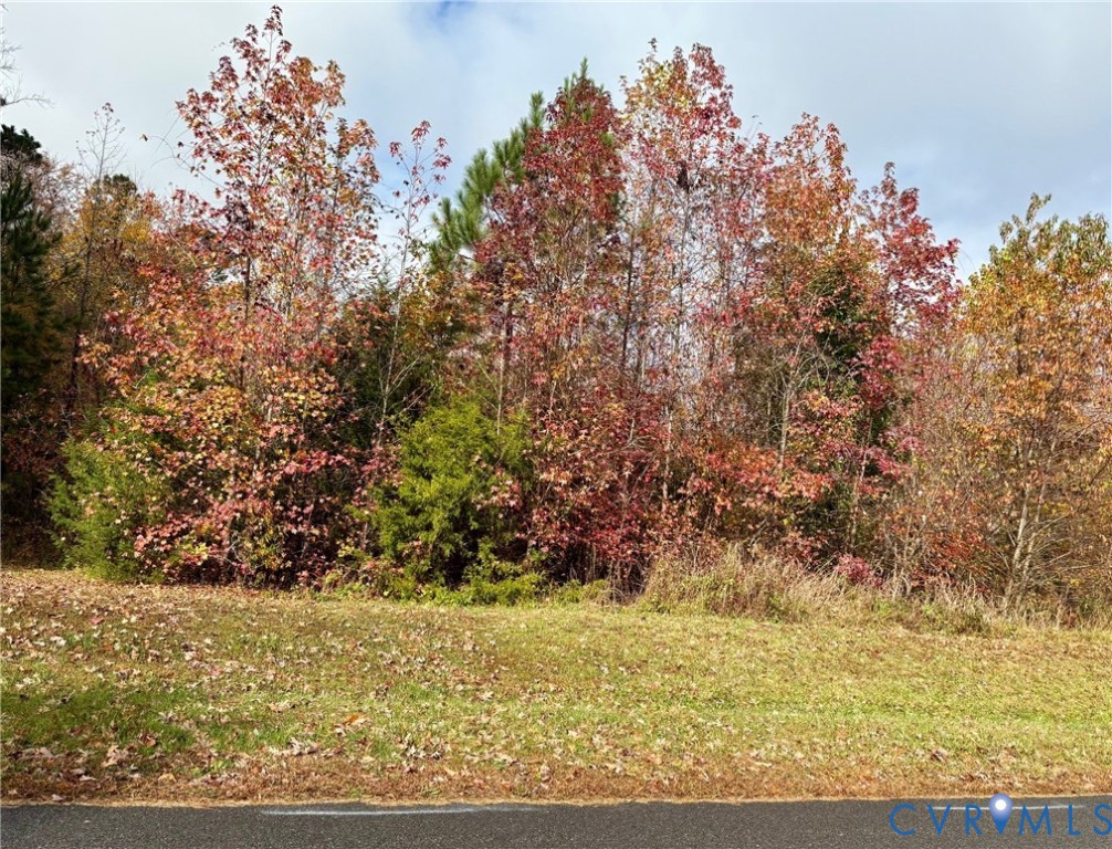 Montpelier, Virginia 23192, United States, ,Land,Active,238633