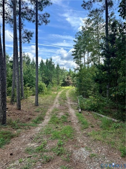 Photo of 0 Loman Road, Meherrin, VA 23954 (MLS # 2523777)