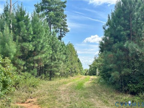 Tiny photo for 0 Loman Road, Meherrin, VA 23954 (MLS # 2523777)