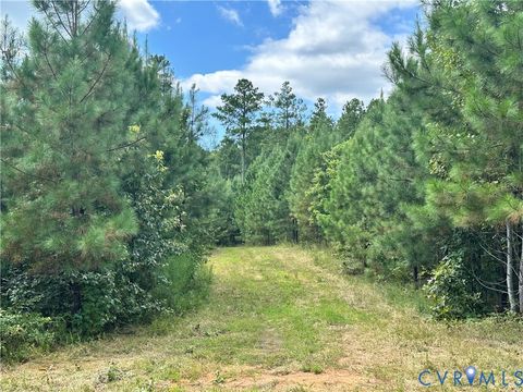 Tiny photo for 0 Loman Road, Meherrin, VA 23954 (MLS # 2523777)