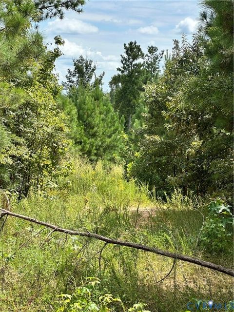 Tiny photo for 0 Loman Road, Meherrin, VA 23954 (MLS # 2523777)