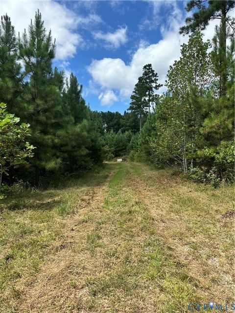 Tiny photo for 0 Loman Road, Meherrin, VA 23954 (MLS # 2523777)