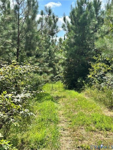 Tiny photo for 0 Loman Road, Meherrin, VA 23954 (MLS # 2523777)