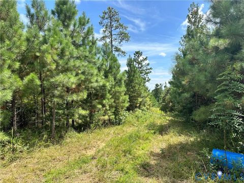 Tiny photo for 0 Loman Road, Meherrin, VA 23954 (MLS # 2523777)