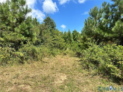 Tiny photo for 0 Loman Road, Meherrin, VA 23954 (MLS # 2523777)