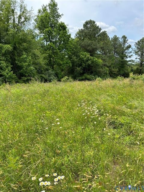 Tiny photo for 0 Jonesboro Church, Blackstone, VA 23824 (MLS # 2529074)