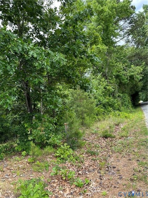Tiny photo for 0 Jonesboro Church, Blackstone, VA 23824 (MLS # 2529074)