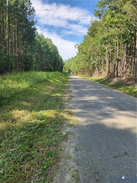 Photo of 0 Ben Gayle Road, Beaverdam, VA 23015 (MLS # 2619535)