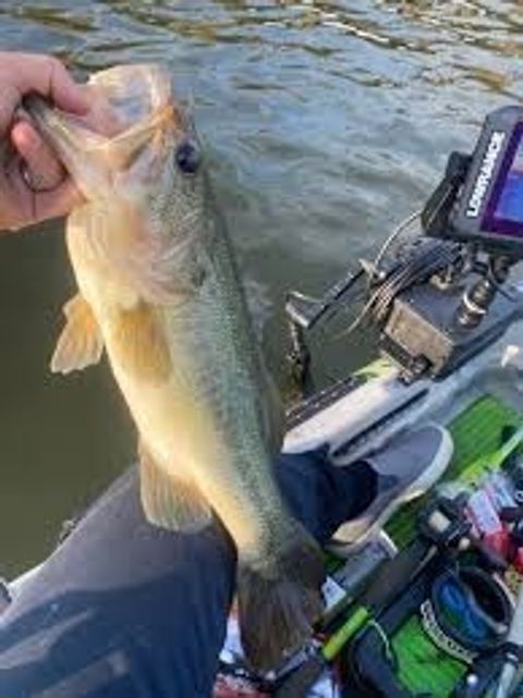 Tiny photo for 8834 Diascund Road, Lanexa, VA 23089 (MLS # 2529872)