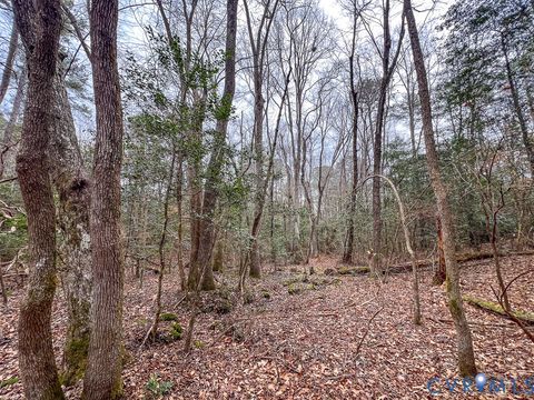 Tiny photo for 53.778 Acres Kidds Fork Road, Milford, VA 22514 (MLS # 2532954)