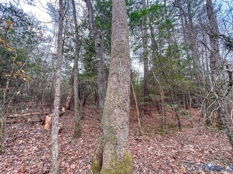 Tiny photo for 53.778 Acres Kidds Fork Road, Milford, VA 22514 (MLS # 2532954)