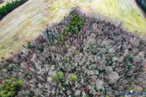 Tiny photo for 53.778 Acres Kidds Fork Road, Milford, VA 22514 (MLS # 2532954)
