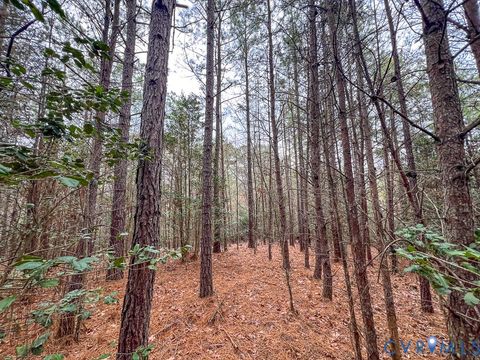 Tiny photo for 53.778 Acres Kidds Fork Road, Milford, VA 22514 (MLS # 2532954)