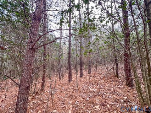 Tiny photo for 53.778 Acres Kidds Fork Road, Milford, VA 22514 (MLS # 2532954)