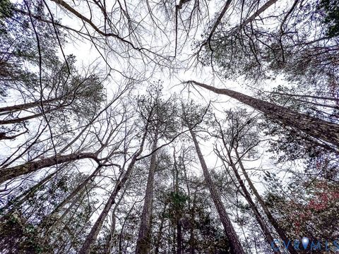 Tiny photo for 53.778 Acres Kidds Fork Road, Milford, VA 22514 (MLS # 2532954)