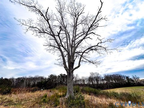 Tiny photo for 53.778 Acres Kidds Fork Road, Milford, VA 22514 (MLS # 2532954)