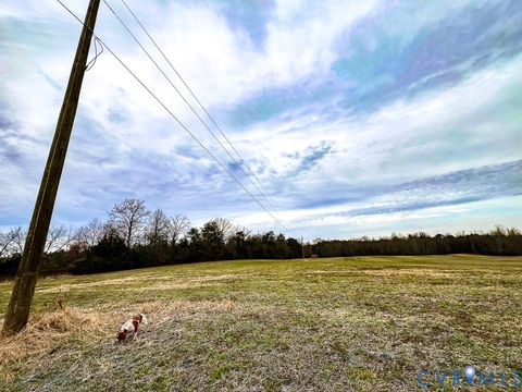 Tiny photo for 53.778 Acres Kidds Fork Road, Milford, VA 22514 (MLS # 2532954)