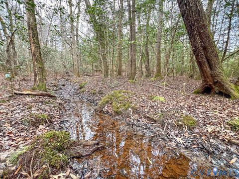 Tiny photo for 53.778 Acres Kidds Fork Road, Milford, VA 22514 (MLS # 2532954)