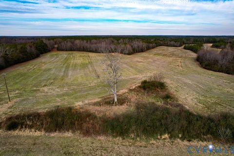 Tiny photo for 53.778 Acres Kidds Fork Road, Milford, VA 22514 (MLS # 2532954)