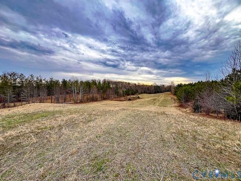 Tiny photo for 53.778 Acres Kidds Fork Road, Milford, VA 22514 (MLS # 2532954)