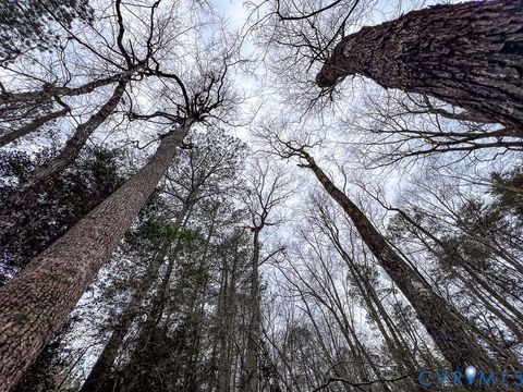 Tiny photo for 53.778 Acres Kidds Fork Road, Milford, VA 22514 (MLS # 2532954)