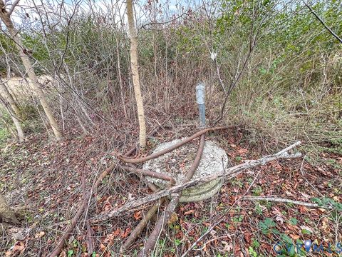 Tiny photo for 53.778 Acres Kidds Fork Road, Milford, VA 22514 (MLS # 2532954)