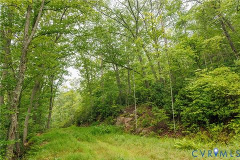 Tiny photo for 00 Shiloh Mountain Trail, Schuyler, VA 22969 (MLS # 2533750)