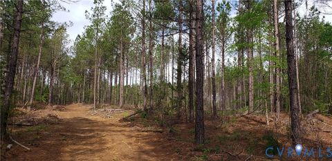 Tiny photo for 75 Acres Winningham Road, Crewe, VA 23930 (MLS # 2609989)