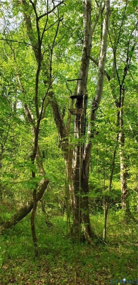 Tiny photo for 75 Acres Winningham Road, Crewe, VA 23930 (MLS # 2609989)