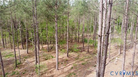 Tiny photo for 75 Acres Winningham Road, Crewe, VA 23930 (MLS # 2609989)