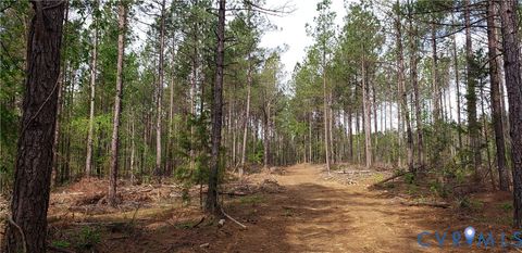 Tiny photo for 75 Acres Winningham Road, Crewe, VA 23930 (MLS # 2609989)