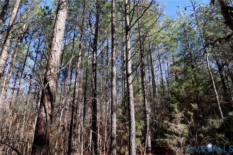 Tiny photo for 0 Beaver Acres Lane, Buffalo Junction, VA 24529 (MLS # 2601664)
