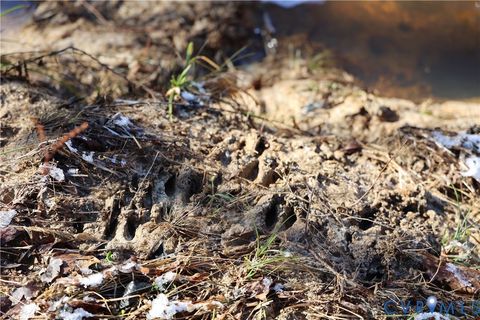 Tiny photo for 0 Beaver Acres Lane, Buffalo Junction, VA 24529 (MLS # 2601664)