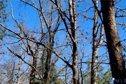 Tiny photo for 0 Beaver Acres Lane, Buffalo Junction, VA 24529 (MLS # 2601664)