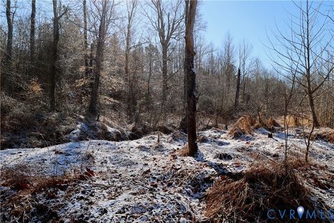 Tiny photo for 0 Beaver Acres Lane, Buffalo Junction, VA 24529 (MLS # 2601664)