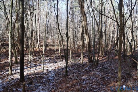 Tiny photo for 0 Beaver Acres Lane, Buffalo Junction, VA 24529 (MLS # 2601664)