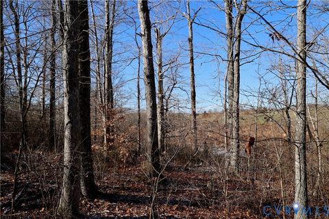 Tiny photo for 0 Beaver Acres Lane, Buffalo Junction, VA 24529 (MLS # 2601664)