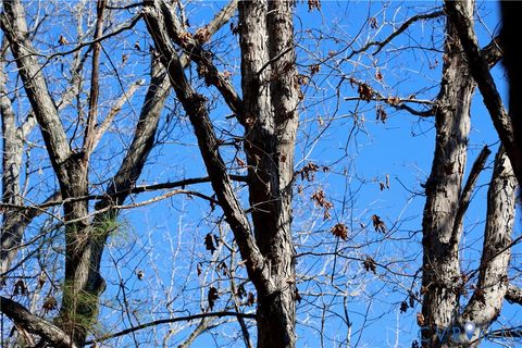 Tiny photo for 0 Beaver Acres Lane, Buffalo Junction, VA 24529 (MLS # 2601664)