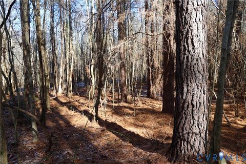 Tiny photo for 0 Beaver Acres Lane, Buffalo Junction, VA 24529 (MLS # 2601664)