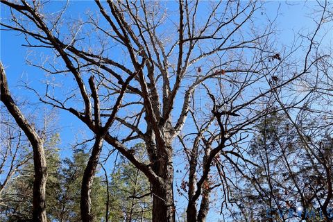 Tiny photo for 0 Beaver Acres Lane, Buffalo Junction, VA 24529 (MLS # 2601664)