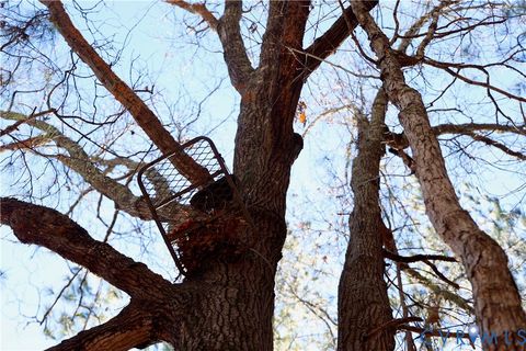 Tiny photo for 0 Beaver Acres Lane, Buffalo Junction, VA 24529 (MLS # 2601664)