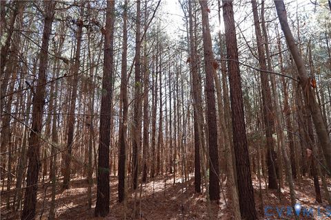 Tiny photo for 0 Beaver Acres Lane, Buffalo Junction, VA 24529 (MLS # 2601664)