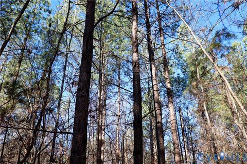 Tiny photo for 0 Beaver Acres Lane, Buffalo Junction, VA 24529 (MLS # 2601664)
