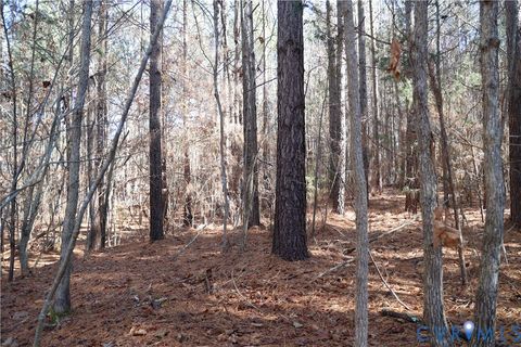 Tiny photo for 0 Beaver Acres Lane, Buffalo Junction, VA 24529 (MLS # 2601664)