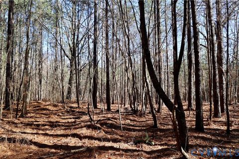 Tiny photo for 0 Beaver Acres Lane, Buffalo Junction, VA 24529 (MLS # 2601664)