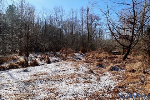 Tiny photo for 0 Beaver Acres Lane, Buffalo Junction, VA 24529 (MLS # 2601664)